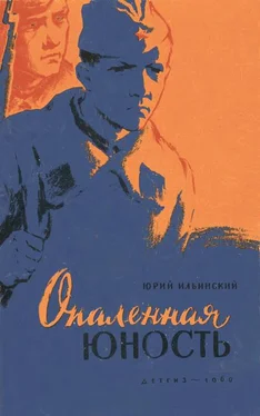 Юрий Ильинский Опаленная юность обложка книги