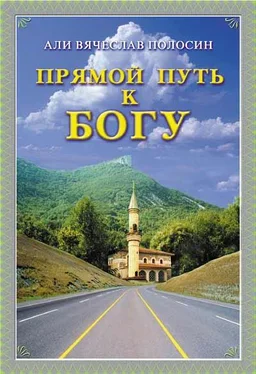 Али Вячеслав Полосин Прямой путь у Богу обложка книги