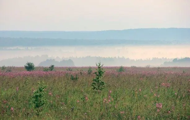 на Алтай ехали Там у них какойто фестиваль проходит каждый год так они с - фото 54