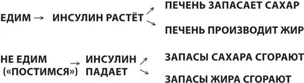 Что происходит при голодании Процесс использования и запасания энергии из - фото 17
