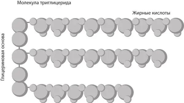 Если у вас диабет 1го типа вы возможно знаете об опасности диабетического - фото 52