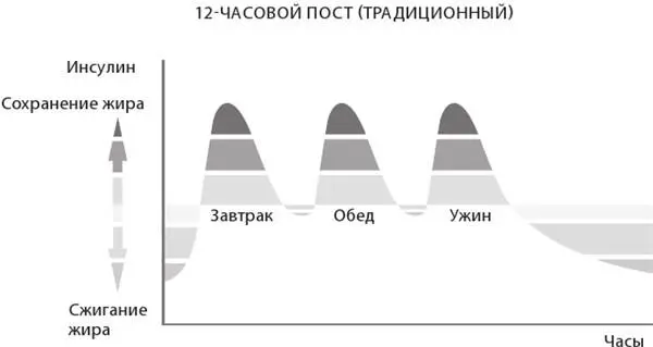 Рис 121 Уровень инсулина при традиционном режиме питания с тремя приёмами - фото 78