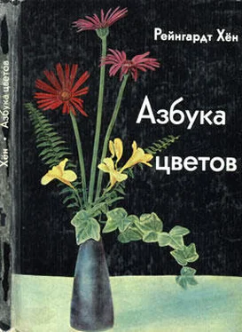 Рейнгардт Хён Азбука цветов. Как дарить цветы, составлять букеты и ухаживать за срезанными цветами обложка книги