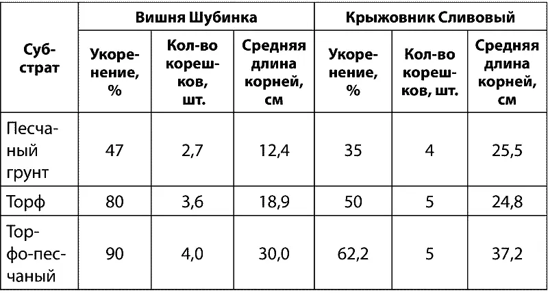 В современных технологиях черенкования используют керамзит перлит или же - фото 8