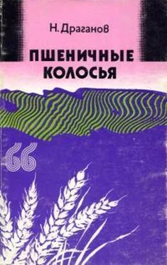 Николай Драганов Пшеничные колосья обложка книги