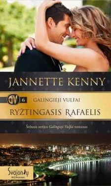 Jannette Kenny Ryžtingasis Rafaelis обложка книги