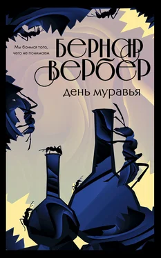 Бернар Вербер День Муравья [litres] обложка книги