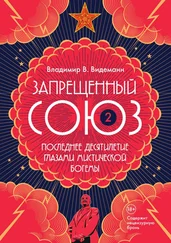Владимир Видеманн - Запрещенный Союз – 2 - Последнее десятилетие глазами мистической богемы
