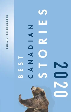 Линн Коуди Best Canadian Stories 2020 обложка книги