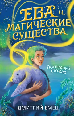 Дмитрий Емец Последний стожар [litres] обложка книги