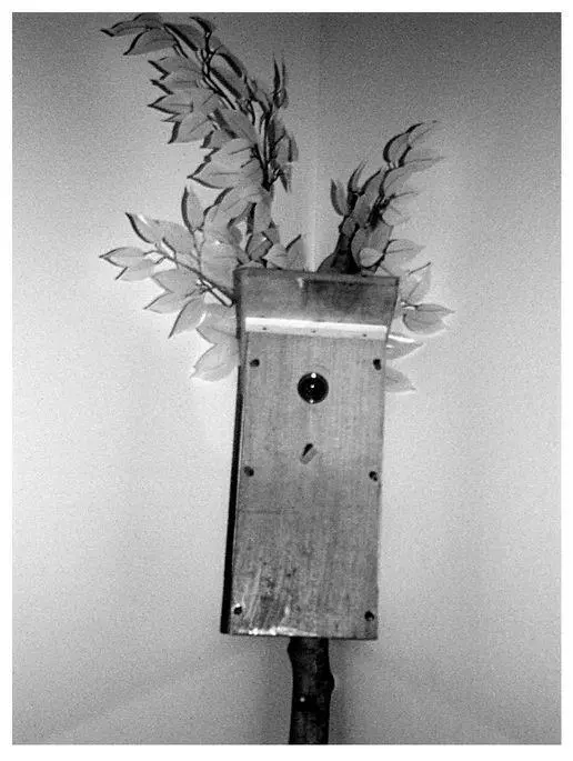Maybe the intent was actually not to hide this surveillance gear too well - фото 29