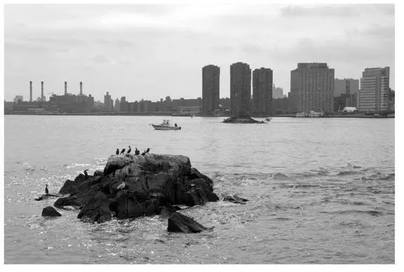Once I managed to get to Long Island City I stopped for a snack at a nice - фото 92