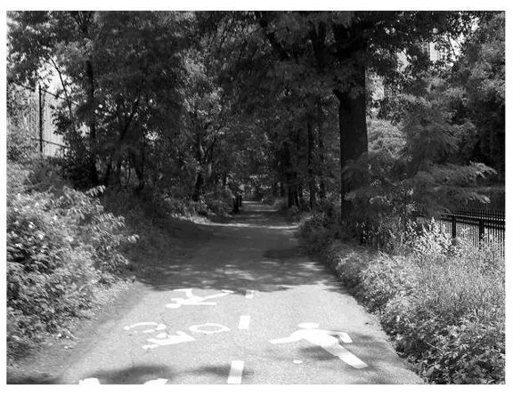 This route goes almost all the way to the top of the island where there is a - фото 93