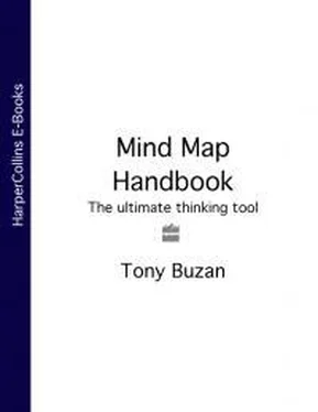 Тони Бьюзен Mind Map Handbook обложка книги