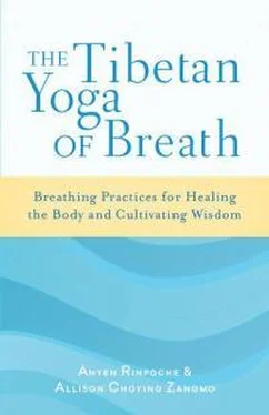 Anyen Rinpoche The Tibetan Yoga Of Breath обложка книги