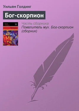 Уильям Голдинг Бог-скорпион обложка книги