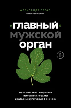 Александр Сегал «Главный» мужской орган. Медицинские исследования, исторические факты и забавные культурные феномены обложка книги