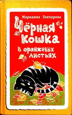 Марианна Гончарова Чёрная кошка в оранжевых листьях обложка книги