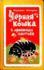 Марианна Гончарова - Чёрная кошка в оранжевых листьях