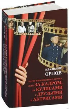 Владимир Орлов Крик птицы обложка книги