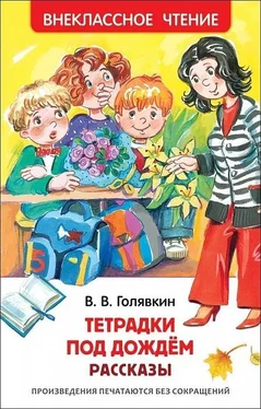 Виктор Голявкин Тетрадки под дождём [сборник] обложка книги