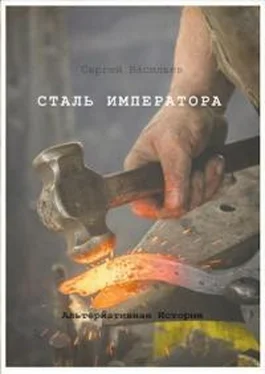 Сергей Васильев Сталь Императора обложка книги