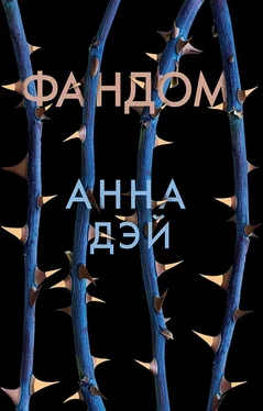 Анна Дэй Фандом обложка книги