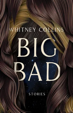 Whitney Collins Big Bad: Stories обложка книги