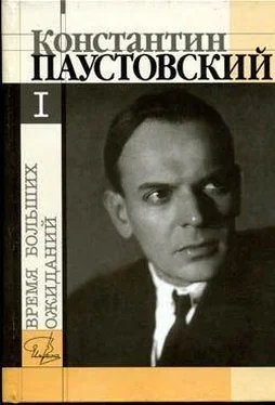 Константин Паустовский Бросок на юг обложка книги