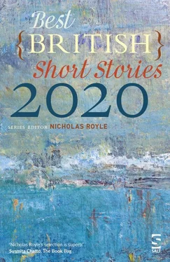 Ханиф Курейши Best British Short Stories 2020 обложка книги