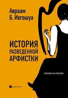 Авраам Иегошуа История разведенной арфистки обложка книги