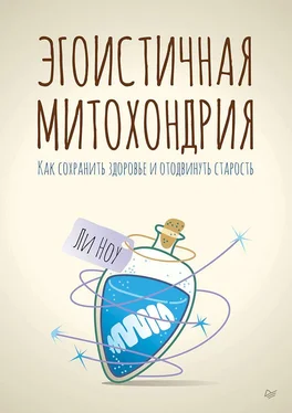 Ли Ноу Эгоистичная митохондрия. Как сохранить здоровье и отодвинуть старость обложка книги