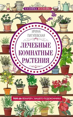 Ирина Пигулевская Лечебные комнатные растения. ТОП-20 лекарей с вашего подоконника обложка книги