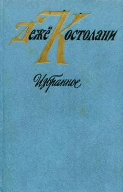 Дежё Костолани Избранное обложка книги