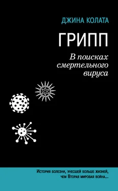 Джина Колата Грипп. В поисках смертельного вируса обложка книги