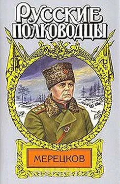 Александр Золототрубов Мерецков. Мерцающий луч славы обложка книги