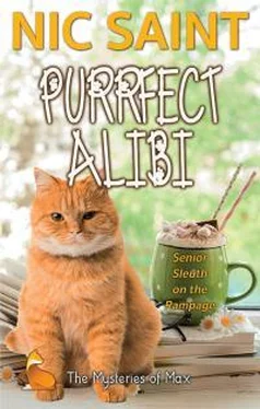 Ник Сайнт Purrfect Alibi обложка книги