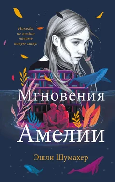 Эшли Шумахер Мгновения Амелии обложка книги
