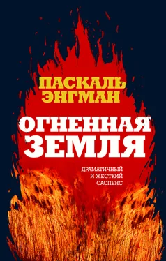 Паскаль Энгман Огненная земля [litres] обложка книги