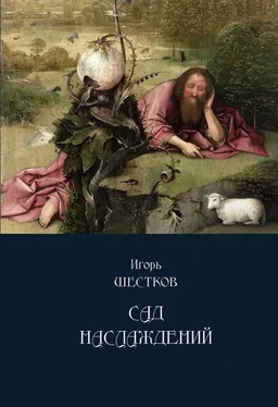 Игорь Шестков Сад наслаждений обложка книги