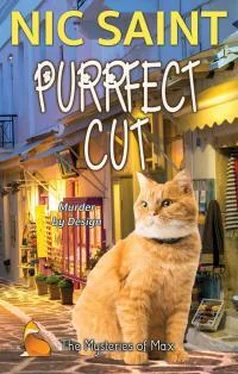 Ник Сайнт Purrfect Cut обложка книги