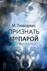 Мелисса Лимоджис - Признать его парой