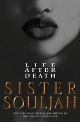 Sister Souljah - Life After Death