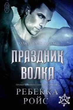 Ребекка Ройс Праздник волка обложка книги