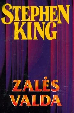 Stephen King Zalės Valda обложка книги