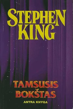 Stephen King Tamsusis bokštas 2 обложка книги