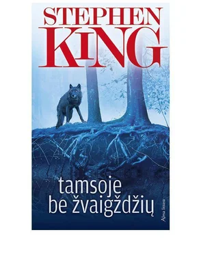 Stephen King Tamsoje be žvaigždžių обложка книги