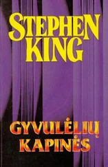 Stephen King - Gyvulėlių kapinės