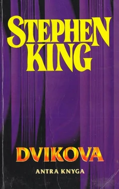 Stephen King Dvikova (2) обложка книги