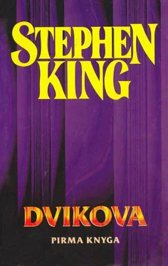 Stephen King Dvikova обложка книги